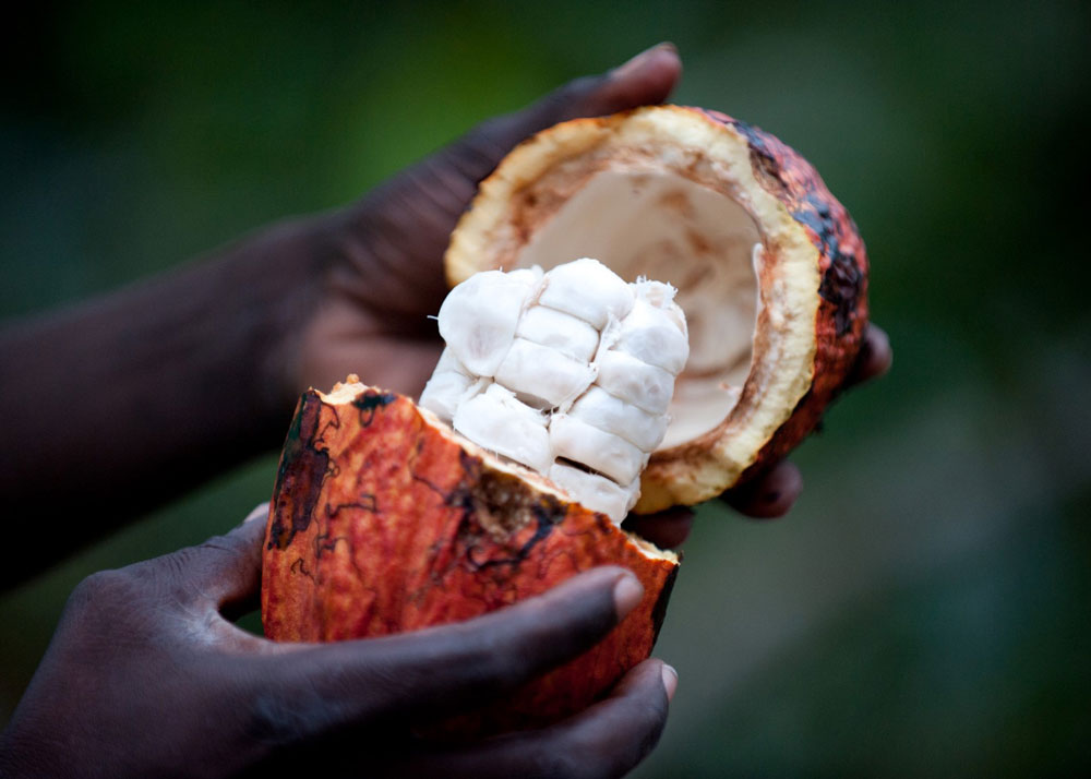 La isla del cacao: Santo Tomé 9 días
